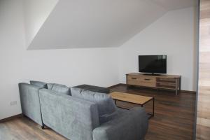 een woonkamer met een bank en een tv bij Ferienwohnung Waldblick - a75529 in Bräunlingen