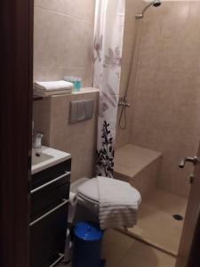 Enjoy home في القدس: حمام مع دش ومرحاض ومغسلة