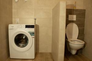 a bathroom with a washing machine and a toilet at Apartmány Pilot in Velká Hleďsebe