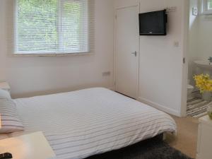 Dormitorio pequeño con cama y TV en Hives - W43108, en Bradworthy