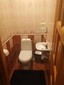 a bathroom with a toilet and a sink at Kwatera prywatna u Janiny in Biały Dunajec +24 photos