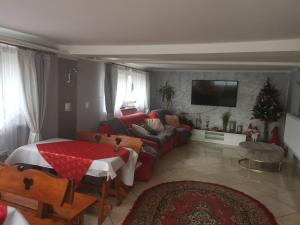 a living room with a red couch and a tv at Kwatera prywatna u Janiny in Biały Dunajec