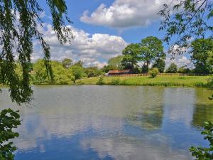 a view of a lake with a building in the background at Lake House Cottage in Finchingfield