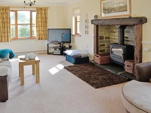 a living room with a fireplace and a tv at Birchwood in Marhamchurch
