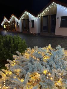 Zgradba, v kateri se nahaja gostišče