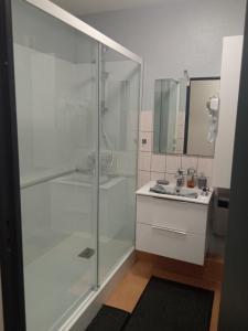 a bathroom with a glass shower and a sink at Charmant studio classé 3 étoiles au coeur de Niederbronn-les-Bains in Niederbronn-les-Bains