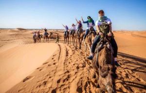 a group of people riding camels in the desert at BerberNightCamp in Adrouine