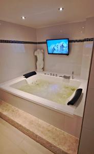 a bath tub with a tv in a bathroom at Deichstube-Greetsiel in Krummhörn