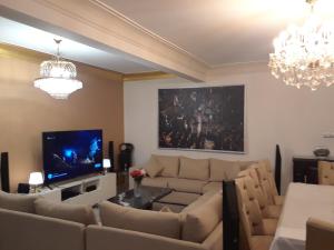 New Boutique Apartment Egypt في القاهرة: غرفة معيشة مع أريكة وتلفزيون