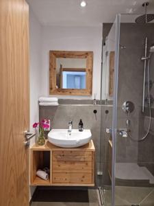 雷騰貝格的住宿－Phils Apartment，一间带水槽和淋浴的浴室