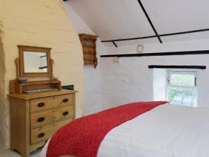 a bedroom with a bed and a mirror on a dresser at Y Teras in Rosebush