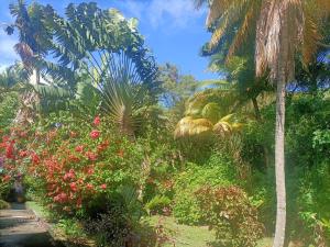 Giardino di le colibri ble