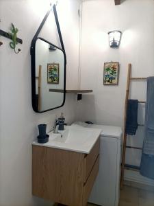 a bathroom with a sink and a mirror at le colibri ble in Sainte-Anne