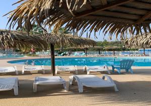 a pool with white chairs and a straw umbrella at Mobil home Queen Margaret in Fréjus