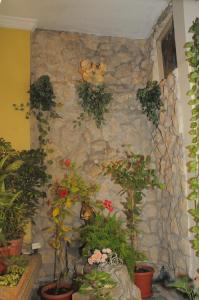eine Steinmauer mit einem Haufen Pflanzen darauf in der Unterkunft Colony Inn Hotel in Ambato