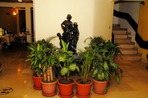una estatua de un hombre de pie junto a un montón de plantas en Colony Inn Hotel, en Ambato
