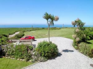 a driveway with a palm tree and a red car at Stanhope Cottage in Lower Boscaswell