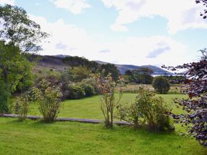 a green field with trees and bushes in a field at Loch Alsh Cottage - Uvo in Balmacara