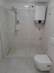 a white bathroom with a shower and a toilet at Fig Tree in Povlja