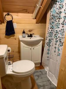 a bathroom with a white toilet and a sink at Cozy Creekside Cabin in the heart of Hocking Hills in Laurelville