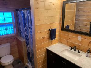 a bathroom with a sink and a toilet and a mirror at Cozy Creekside Cabin in the heart of Hocking Hills in Laurelville