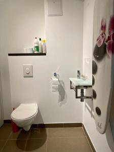 Kúpeľňa v ubytovaní 17 - Appartement neuf, parking terrasse et jolie vue