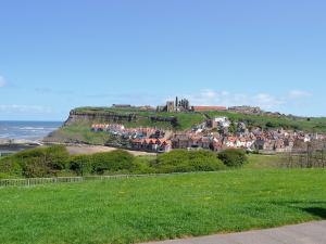 a town on a hill with a castle on it at Georges View in Whitby