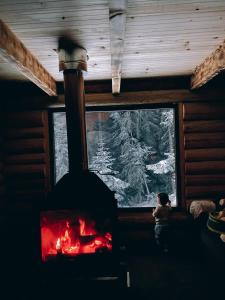 Mynd úr myndasafni af Hut In Hatsvali í Mestia