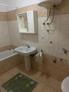 Koupelna v ubytování Rooms Juran