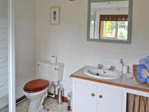 a bathroom with a toilet and a sink and a mirror at Summer House in St Asaph