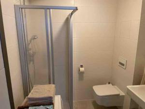 a bathroom with a shower with a toilet and a sink at AKH - UNI 10min - Zentrum 10 min in Vienna