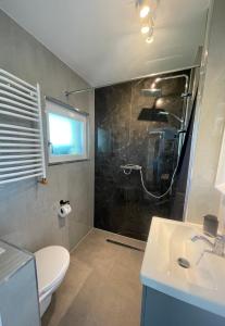 een badkamer met een douche, een toilet en een wastafel bij moor-home Studio Apartment in Ganderkesee