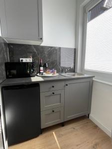 eine Küche mit einer Spüle und einem Teller mit Essen auf der Theke in der Unterkunft moor-home Studio Apartment in Ganderkesee