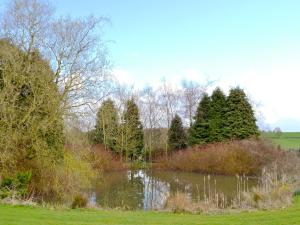 a pond in a field with trees in the background at Somersal Farmhouse in Somersal Herbert