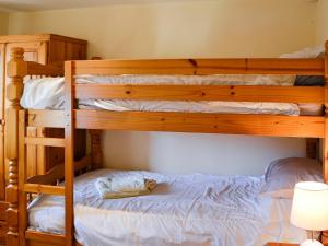 1 dormitorio con 2 literas y un gato en la cama en Carters Cottage, en Puncknowle