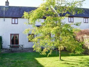 una casa blanca con un banco en el patio en Carters Cottage, en Puncknowle