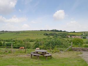 a picnic table in the middle of a field with cows at Cart Cottage - 28343 in Staintondale