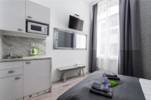 Kuchyňa alebo kuchynka v ubytovaní Delta Apartments Budapest
