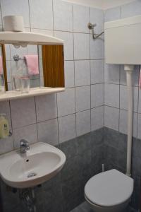 a bathroom with a white sink and a toilet at Sobe Pintur in Grožnjan