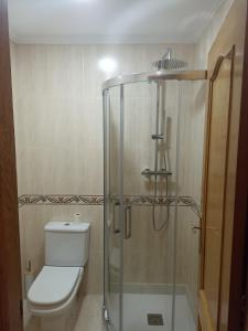 a bathroom with a toilet and a glass shower at EL ATICO in Caldas de Reis +19 photos
