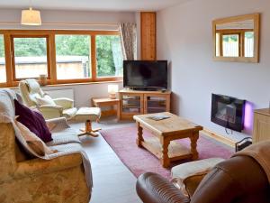ein Wohnzimmer mit einem Sofa und einem TV in der Unterkunft Woodview Lodge in Barlow