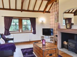 a living room with a fireplace and a tv at The Wee Byre in Shawhead