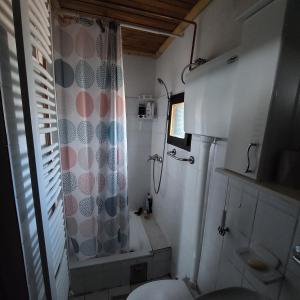 a small bathroom with a shower and a toilet at Planinska kućica Svetlana Zlatibor in Ribnica