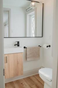 een badkamer met een wastafel en een spiegel en een toilet bij Beach House in Niagara in Wainfleet +54 foto's