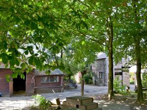 a group of trees in front of a building at Demelza in Launceston