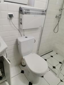 ein Badezimmer mit einem weißen WC und einer Dusche in der Unterkunft Apartament Wolin nad wodą koło Miedzyzrdrojów in Wolin
