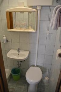a bathroom with a toilet and a sink and a mirror at Sobe Pintur in Grožnjan