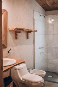een badkamer met een toilet, een wastafel en een douche bij Posada Los Cipreses in San Rafael