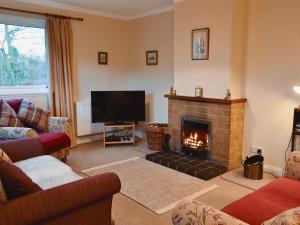 a living room with a fireplace and a television at Melgund Glen Lodge in Minto