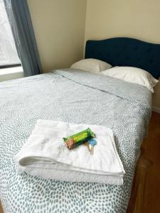 Ліжко або ліжка в номері Budget Single Room Near Central Park